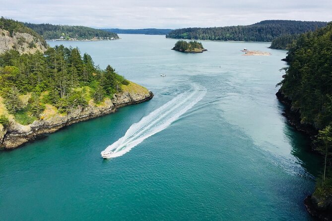 Skagit Valley Birding + Deception Pass Day Tour From Seattle - Fort Casey’s bunkers and Admiralty Head Lighthouse