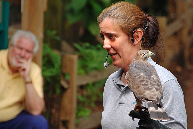 Skip the Line: Flamingo Gardens Admission Ticket in Fort Lauderdale - Birds, aviary life, and scheduled presentations