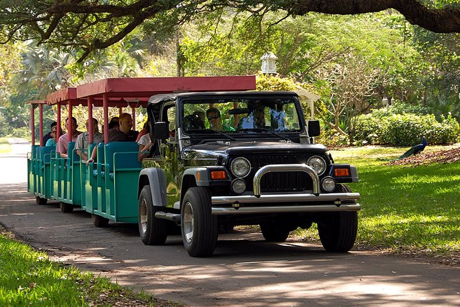 Skip the Line: Flamingo Gardens Admission Ticket in Fort Lauderdale - Eight botanical gardens and five Everglades ecosystems