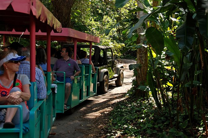 Skip the Line: Flamingo Gardens Admission Ticket in Fort Lauderdale - A relaxed day for families, couples, and older visitors