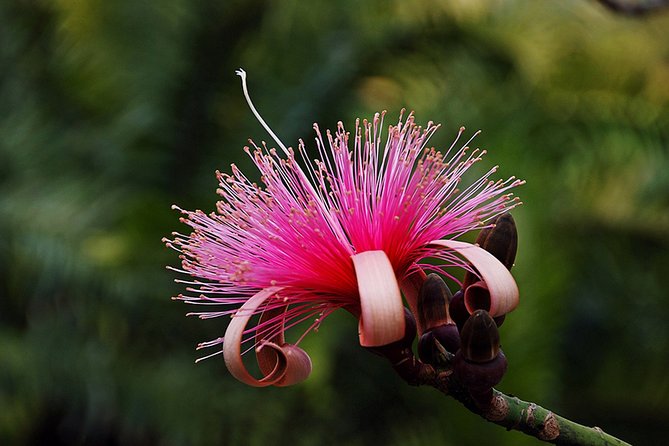 Skip the Line: Flamingo Gardens Admission Ticket in Fort Lauderdale - What the $23.95 ticket really covers