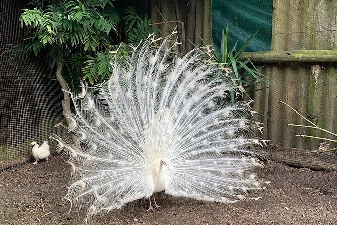 Skip the Line: World of Birds Admission Ticket - Reptiles and the Limits of the Collection