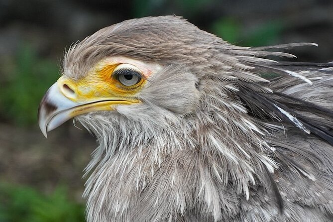 Skip the Line: World of Birds Admission Ticket - How Long to Stay and When to Arrive