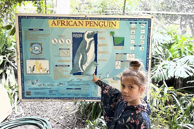 Skip the Line: World of Birds Admission Ticket - Getting There and Planning Around Hout Bay