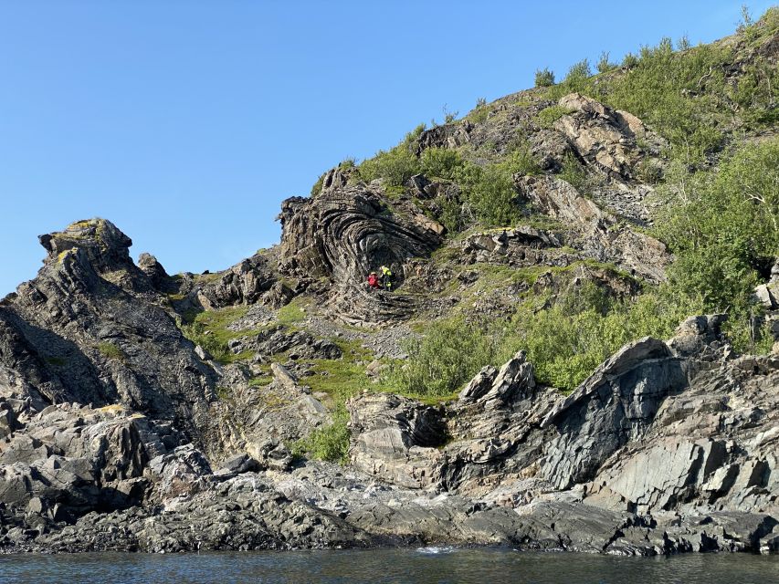 Skjervøy: Birds and Wildlife of Arctic Norway - What the Skjervøy wildlife cruise is really about