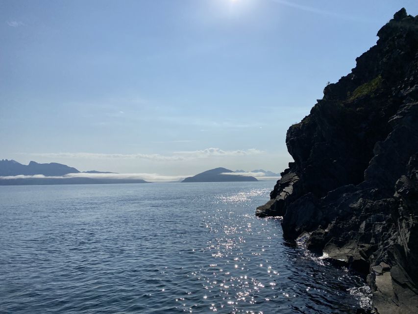 Skjervøy: Birds and Wildlife of Arctic Norway - Practical details before you reserve