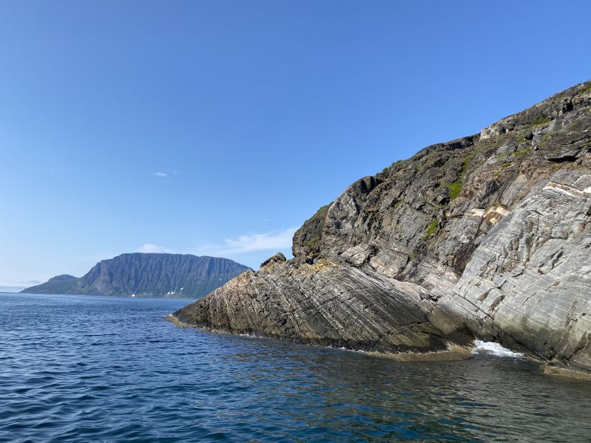 Skjervøy: Birds and Wildlife of Arctic Norway - Is $165 a fair price?