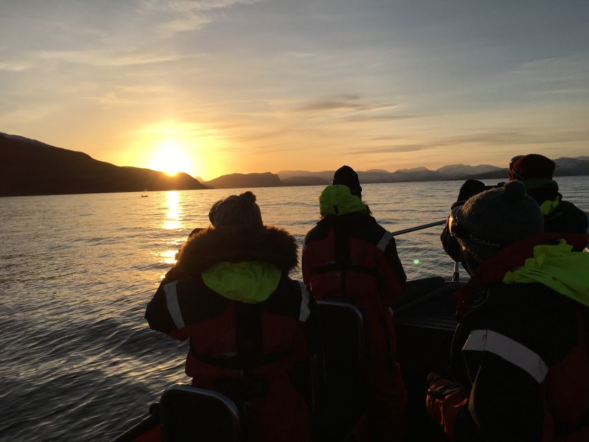Skjervøy: Birds and Wildlife of Arctic Norway - Who should book this experience?