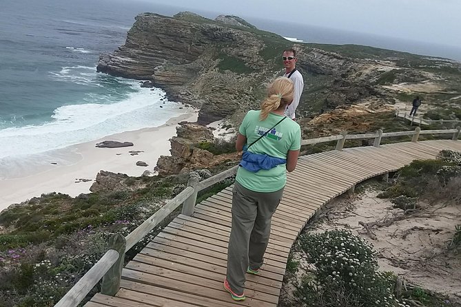 Small Group Cape Of Good Hope Penguins Wine Tasting Inc Park Fees - One day across Cape Town’s southern peninsula