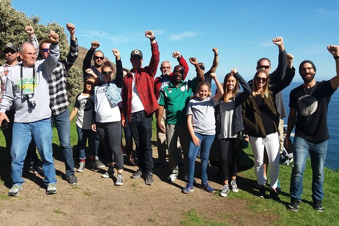 Small Group Cape Of Good Hope Penguins Wine Tasting Inc Park Fees - Hout Bay and the road to Chapman’s Peak