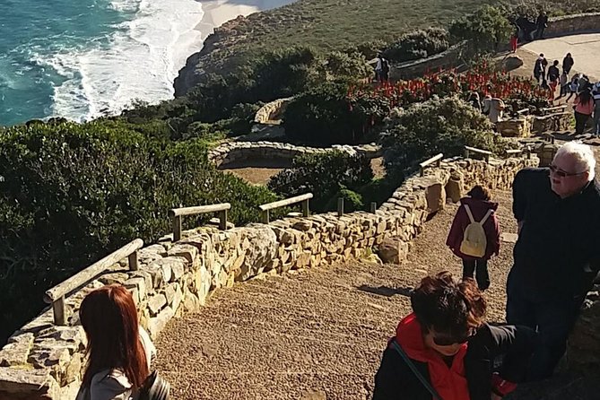 Small Group Cape Of Good Hope Penguins Wine Tasting Inc Park Fees - Constantia wine at the end of a long day