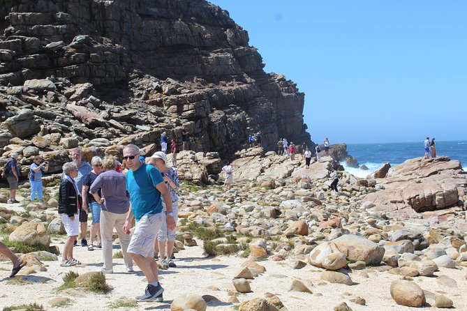 Small Group Private Tour To Cape Point Penguins From Cape Town Excl Entry Fees - Cape of Good Hope brings wildlife into the day