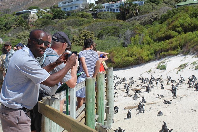 Small Group Private Tour To Cape Point Penguins From Cape Town Excl Entry Fees - Boulders Beach is the emotional high point