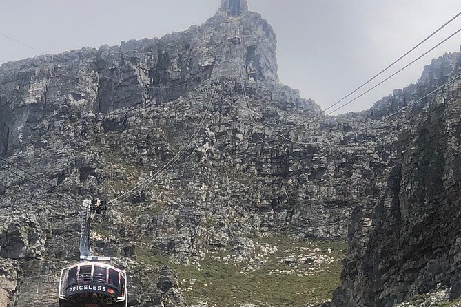 Small Group Table Mountain Penguin Colony and Cape Point Tour - Starting in Bo-Kaap and central Cape Town