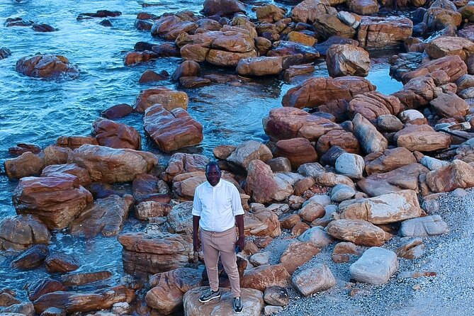 Small Group Table Mountain Penguin Colony and Cape Point Tour - Two hours at the Cape of Good Hope