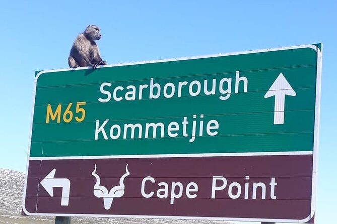 Small Group Table Mountain Penguin Colony and Cape Point Tour - Table Mountain and the weather question
