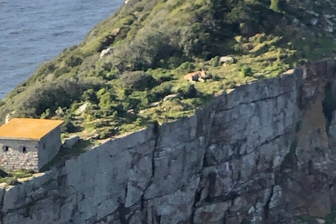 Small Group Tour Boulders Beach Penguin Colony Cape of Good Hope - Chapman’s Peak, the scenic road worth watching