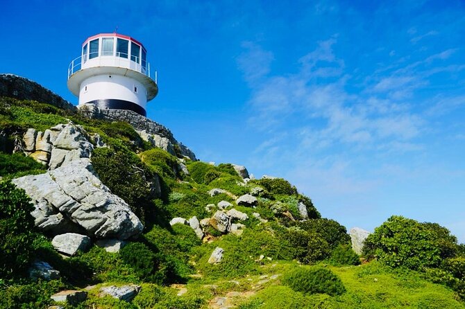 Small Group Tour: Penguins, Cape Point and Cape of Good Hope - Seal Island: an optional boat ride from Hout Bay