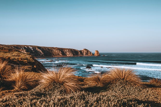 Small Tour (8 ppl) Phillip Island Hike & Penguin Parade Day Tour - Weather, cancellations, and timing