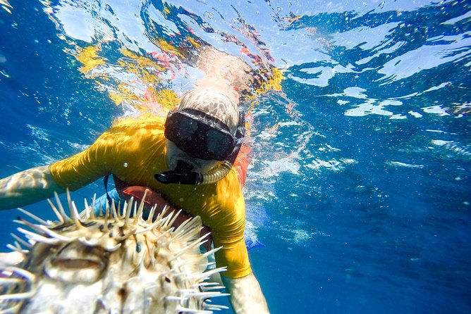 Snorkel & Explore Pelican Rock by Glass Boat + Photos - What lunch is like after the swim