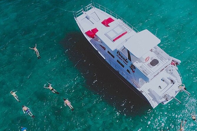 Snorkel - Lobster Lunch Cruise to Bird Island and Paradise Reef - Key points at a glance