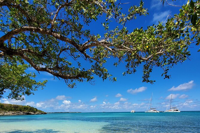 Snorkel - Lobster Lunch Cruise to Bird Island and Paradise Reef - What the $185 price really buys you