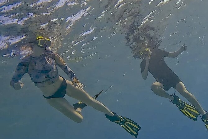 Snorkel with Turtles & see the Flamingos - Conditions, comfort, and what to pack