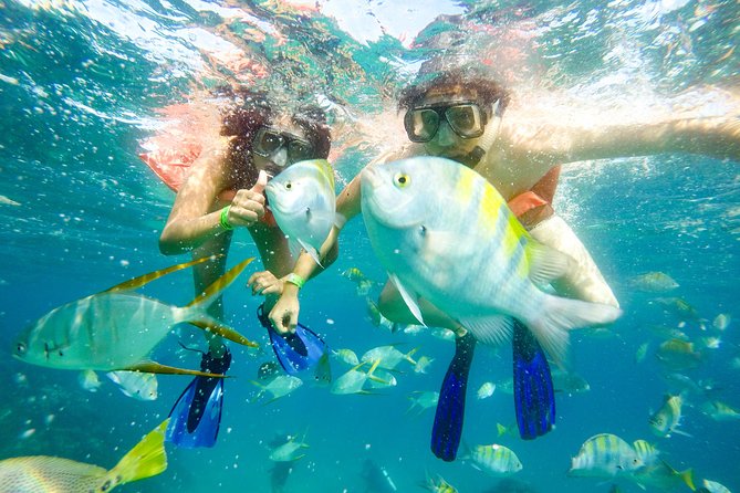 Snorkeling at Pelicans Rock - Practical details that can make the day smoother