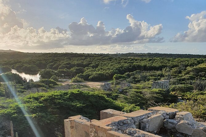 Spanish Lagoon Mangrove Trail & Bird Watching - Starting at Pos Chiquito and the old bridge