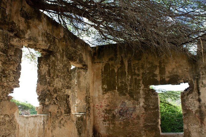 Spanish Lagoon Mangrove Trail & Bird Watching - Shell middens and Aruba’s early human story
