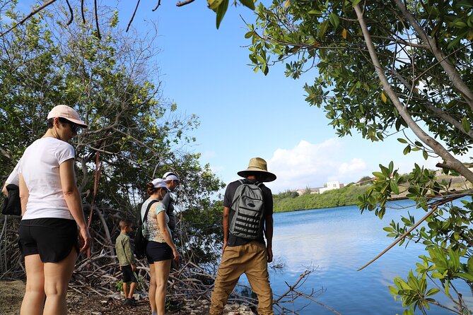 Spanish Lagoon Mangrove Trail & Bird Watching - Guides, group size, and the walking pace