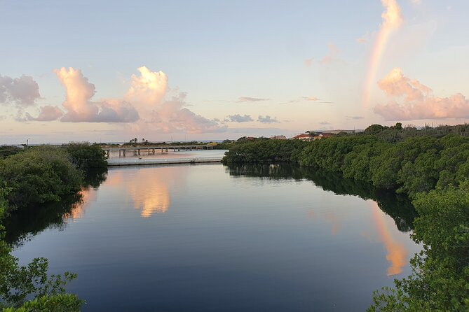 Spanish Lagoon Mangrove Trail & Bird Watching - Following the mangrove trail for 90 minutes