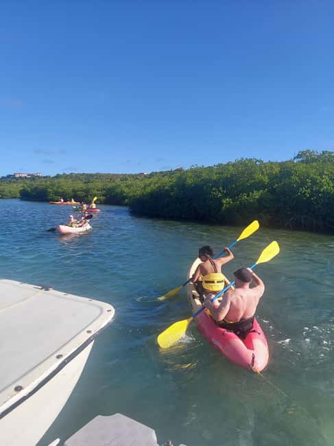St. John's, Antigua Kayak, Snorkeling, & Beach Bird Island - Key points at a glance