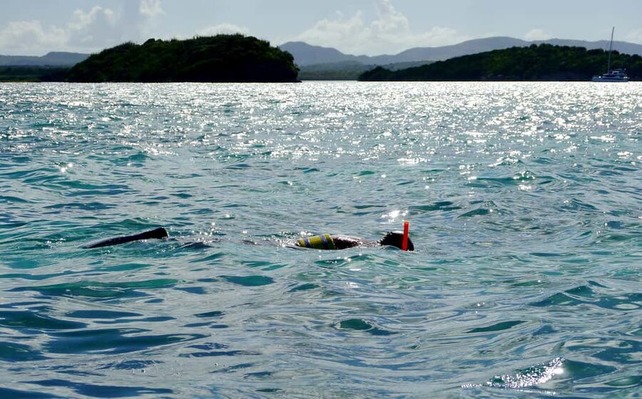 St. John's, Antigua Kayak, Snorkeling, & Beach Bird Island - Paddling through red mangroves