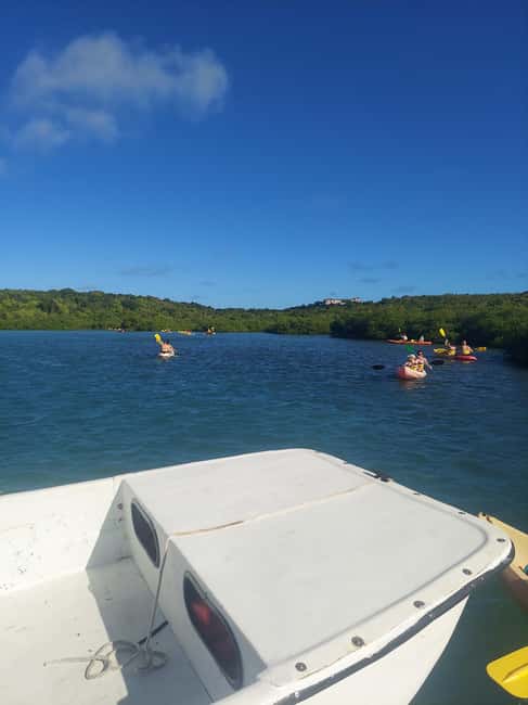 St. John's, Antigua Kayak, Snorkeling, & Beach Bird Island - Speedboat ride to Great Bird Island