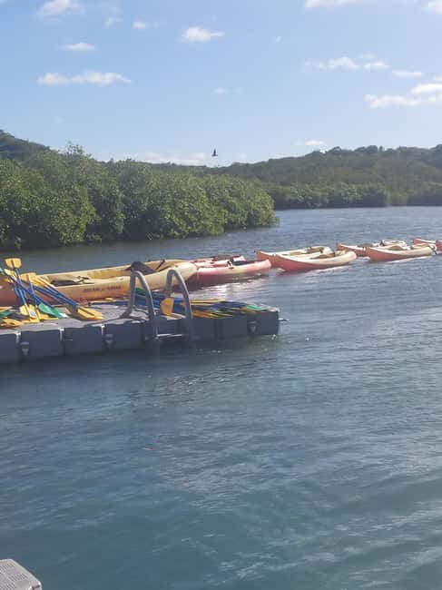 St. John's, Antigua Kayak, Snorkeling, & Beach Bird Island - The guide can shape the whole day