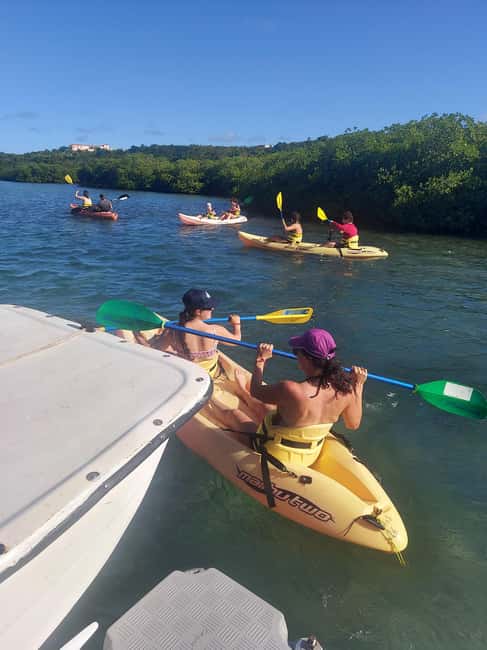 St. John's, Antigua Kayak, Snorkeling, & Beach Bird Island - Booking details that matter