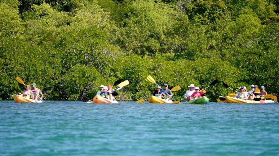 St. John's, Antigua Kayak, Snorkeling, & Beach Bird Island - Getting from St. John’s to the North Sound