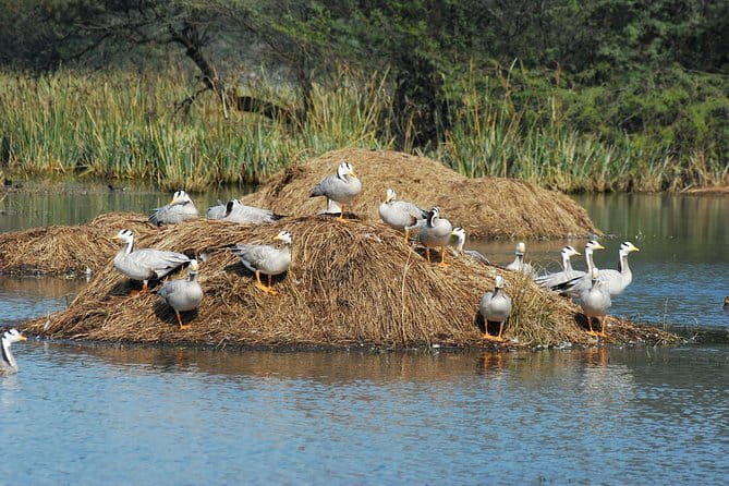 Sultanpur Bird Sanctuary Tour Near Delhi - Entering Sultanpur National Park