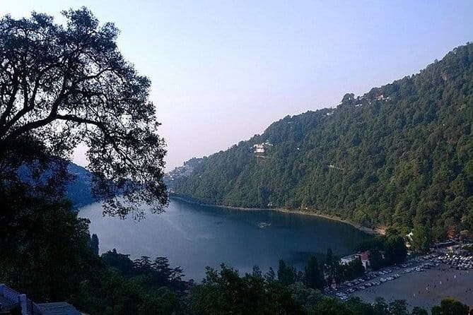 Sultanpur Bird Sanctuary Tour Near Delhi - Migratory birds, blue deer, and small mammals