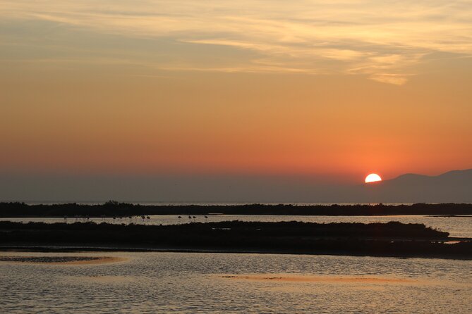 Sunset among flamingos in the Ebro Delta - Starting at Riet Vell Nature Reserve