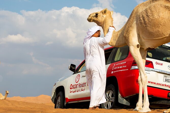 Sunset Camel Trekking with Falcon Show & VIP BBQ Dinner - Key points to know before booking