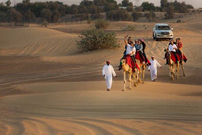 Sunset Camel Trekking with Falcon Show & VIP BBQ Dinner - From Dubai hotels to open desert