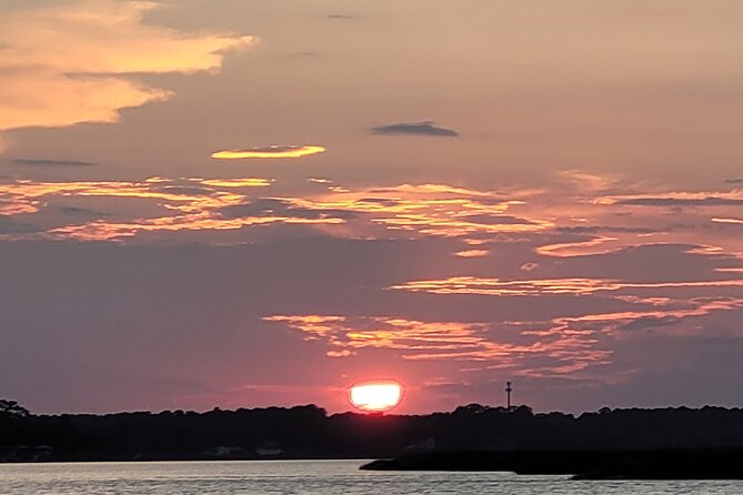 Sunset, Dolphin/Birding On A Private Guided Savannah Cruise - Dolphins in the tidal waterways