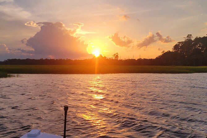 Sunset, Dolphin/Birding On A Private Guided Savannah Cruise - Waterfront homes and Bluff Drive