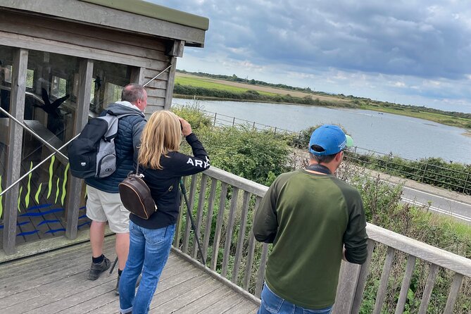 Sussex Birdwatching Private Guided Day Tour - Old Lodge and the search for heathland specialists