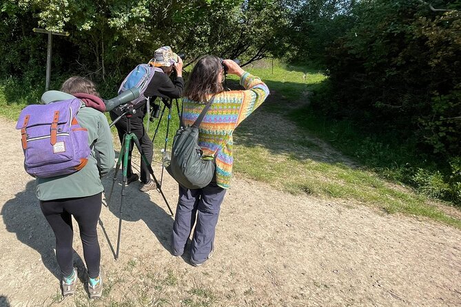 Sussex Birdwatching Private Guided Day Tour - Pagham Harbour and the changing coast
