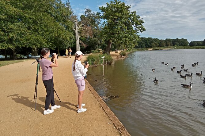 Sussex Birdwatching Private Guided Day Tour - Who should book this birding day