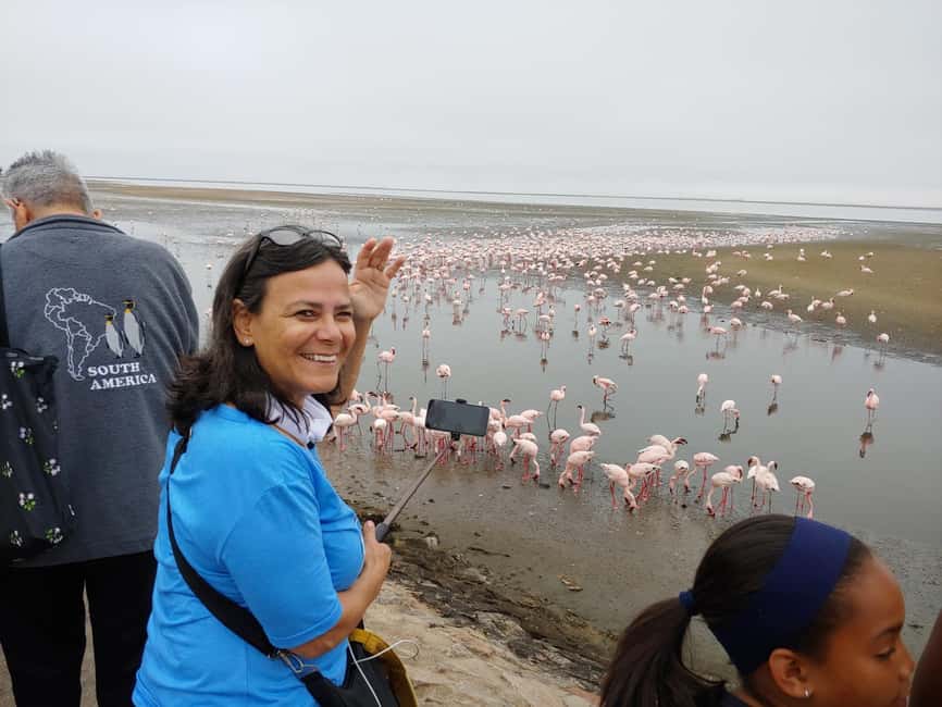 swakopmund city tour dune 7 pink lake pink flamingos - Should you book the Swakopmund and Dune 7 tour?