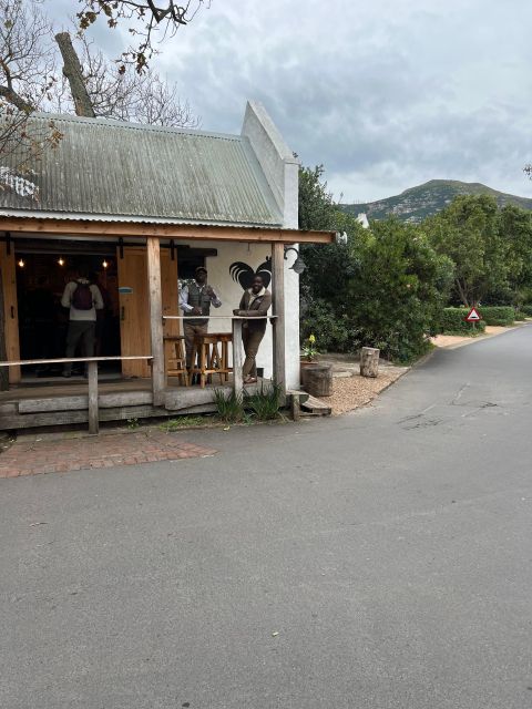 Swim with Penguins at Boulders Beach Penguin Colony - Simon’s Town leads to the colony